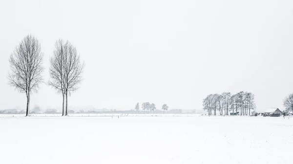 Dutch snow landscape — Stock Photo, Image