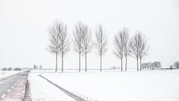 Dutch snow landscape — Stock Photo, Image