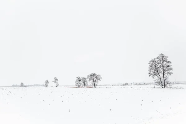 Dutch snow landscape — Stock Photo, Image