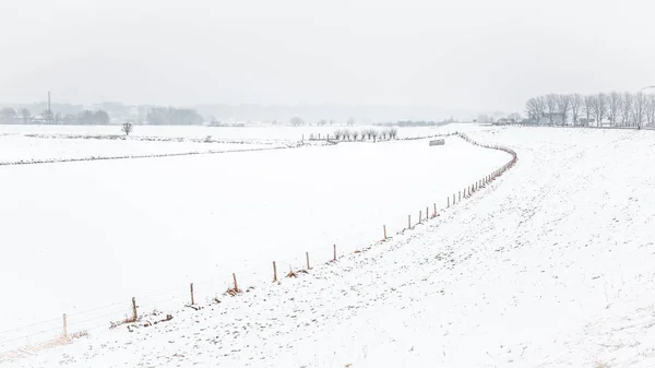 Dutch snow landscape — Stock Photo, Image