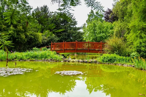 Oasis con puente en el jardín botánico en Zagreb, Croacia —  Fotos de Stock