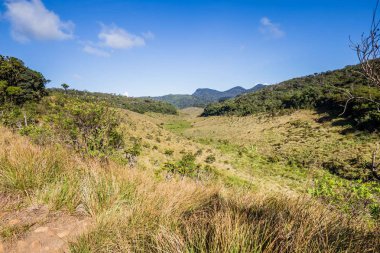Horton Plains Milli Parkı Sri Lanka