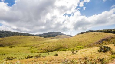 Horton Plains Milli Parkı Sri Lanka