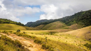 Horton Plains Milli Parkı Sri Lanka