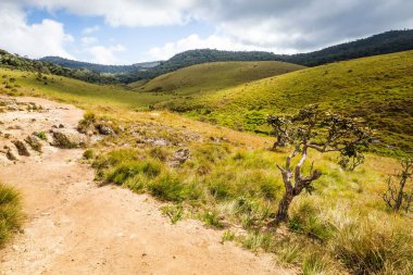 Horton Plains Milli Parkı Sri Lanka