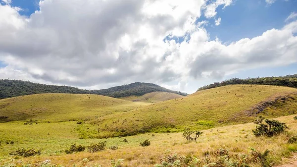 Horton Plains Milli Parkı Sri Lanka