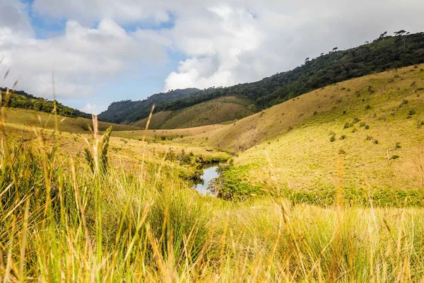 Horton Plains Milli Parkı Sri Lanka