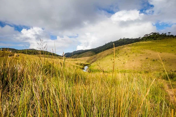 Horton Plains Milli Parkı Sri Lanka