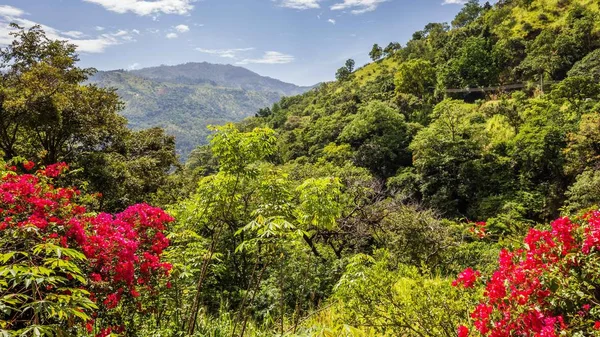 Ravana bergen in de buurt van Ella in Sri Lanka — Stockfoto