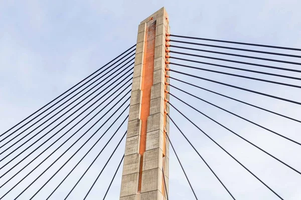 Ponte de Zaltbommel, Países Baixos — Fotografia de Stock
