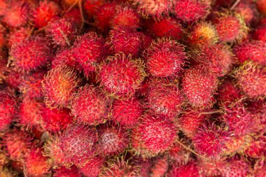 Rambutan veya kırmızı tüylü lychee meyve