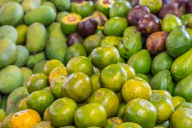 Taze narenciye turuncu