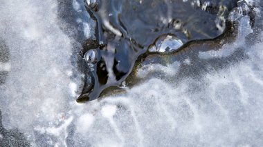 Blakc ve wice Arka Plan