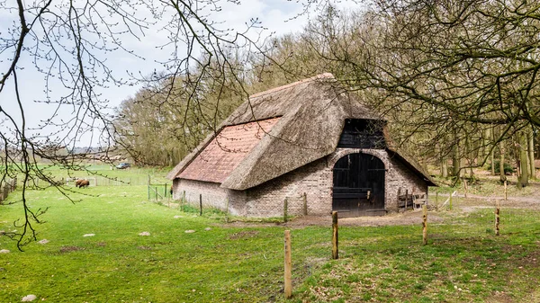An old historic sheep shed