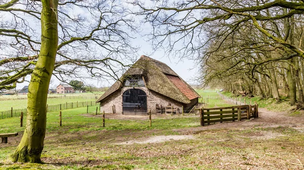 An old historic sheep shed — Stock Photo, Image