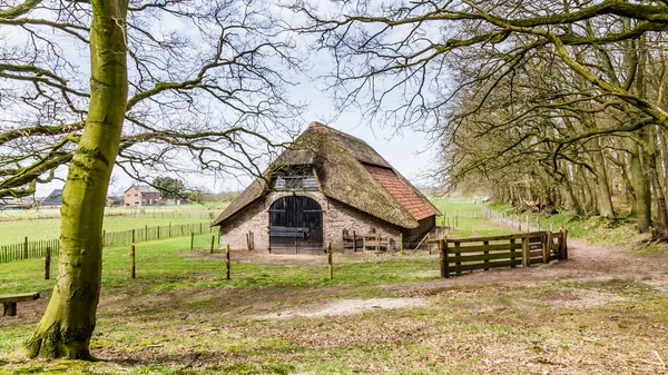 An old historic sheep shed