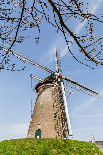 Geleneksel Hollanda Widnmill — Stok fotoğraf