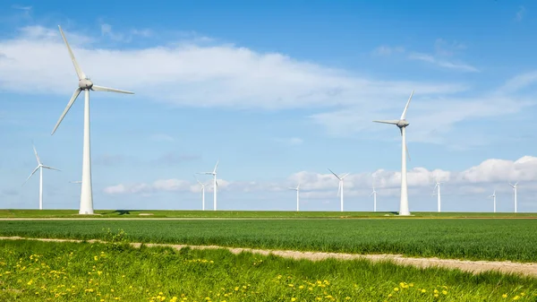 Holandské větrné turbíny park podél příkopy — Stock fotografie