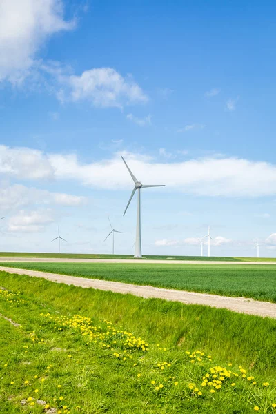 Hollandsk vindmøllepark langs digerne - Stock-foto