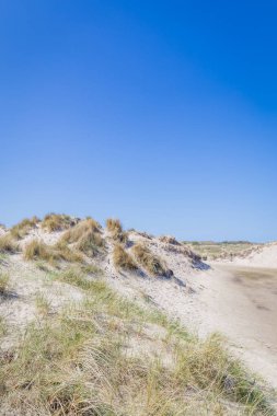 Sand dunes wadden ialsnds Netehrlands clipart
