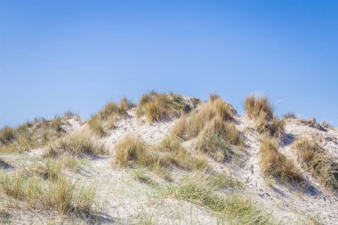 Kum tepeleri wadden ialsnds Netehrlands