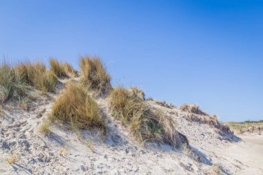 Kum tepeleri wadden ialsnds Netehrlands