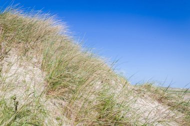 Kum tepeleri wadden ialsnds Netehrlands