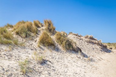 Sand dunes wadden ialsnds Netehrlands clipart