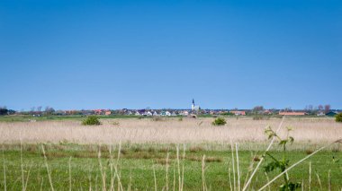 Manzarası Den Hoorn Texel Hollanda
