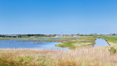 Manzarası Den Hoorn Texel Hollanda