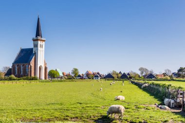 Manzarası Den Hoorn Texel Hollanda