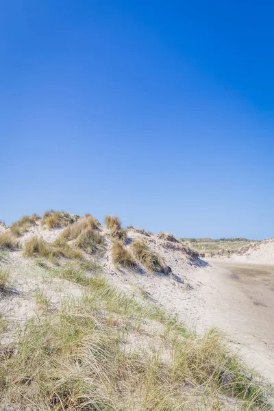 Písečné duny wattové ialsnds Nizozemsko — Stock fotografie