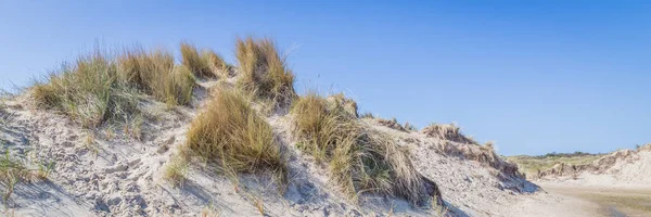 Dunas de arena wadden ialsnds Netehrlands — Foto de Stock