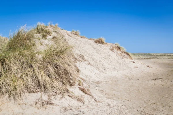 Kum tepeleri wadden ialsnds Netehrlands — Stok fotoğraf