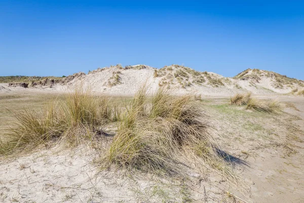 Dunas de areia wadden ialsnds Netehrlands — Fotografia de Stock