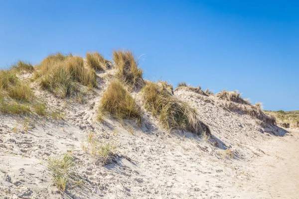 Dunas de areia wadden ialsnds Netehrlands — Fotografia de Stock