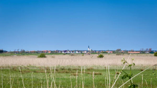 Skyline Den Hoorn Texel Paesi Bassi — Foto Stock