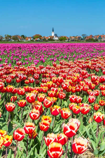 Skyline Den Hoorn Texel Нидерланды — стоковое фото