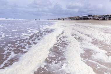 Plaj boyunca köpük yosun