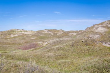 Milli Parkı kum tepeleri Hollanda