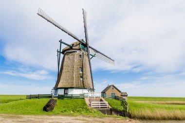 Texel Hollanda Hollanda yel değirmeni