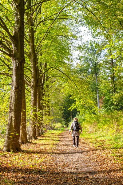 Woman Dutch forest — Stock Photo, Image