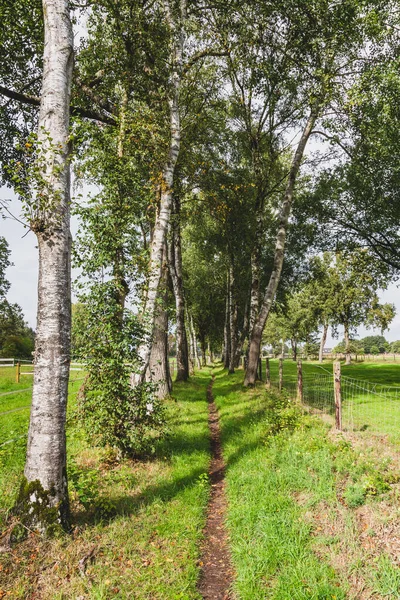 Paisagem trilha caminhando — Fotografia de Stock