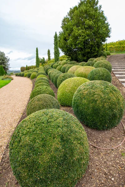 Jardín con pelotas de boj — Foto de Stock