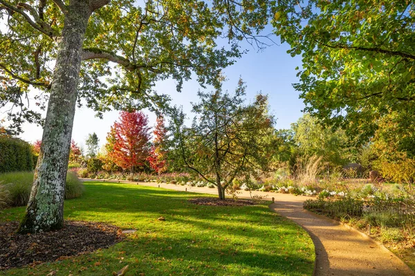 Park design with small pathways in autumn colors — Stock Photo, Image