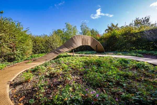 Tuinontwerp in herfstkleuren met touw — Stockfoto