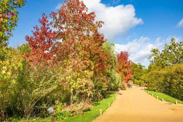 Park design with small pathways in autumn colors — Stock Photo, Image