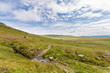 Peyzaj Prestholtseter Norveç