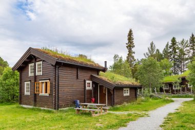 Norveç 'te Eko-Lodge