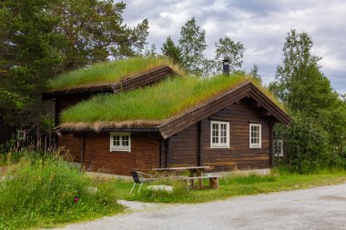 Norveç 'te Eko-Lodge